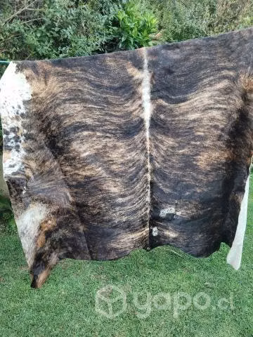 Alfombra