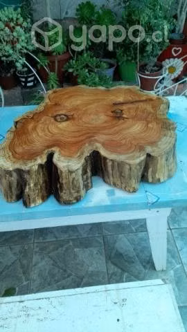 Hermosas mesas de centro en madera nativa