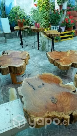 Hermosas mesas de centro en madera nativa