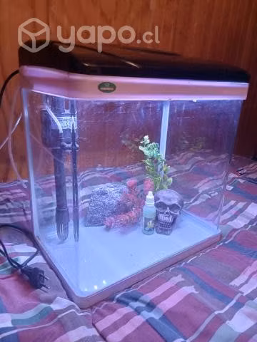 Acuario tapado - Imagen 6