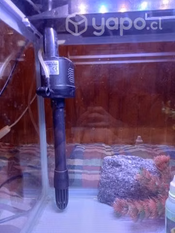 Acuario tapado - Imagen 4
