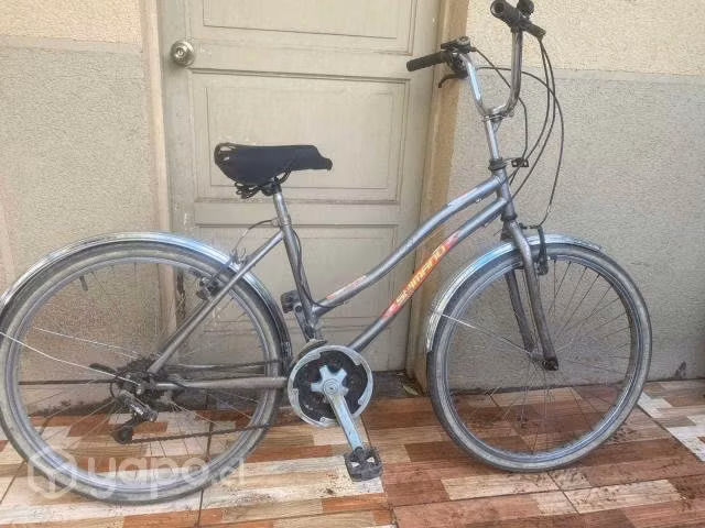 Bicicleta de paseo