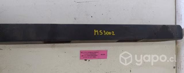 Moldura Patente Puerta Trasera Izquierda (MS1002)
