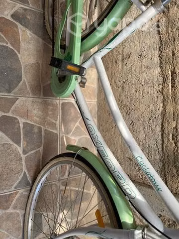 bicicleta