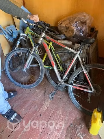 Bicicleta trek