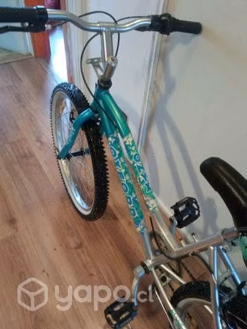 Bicicleta aro 24