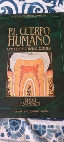 El cuerpo humano, la boca y los dientes
