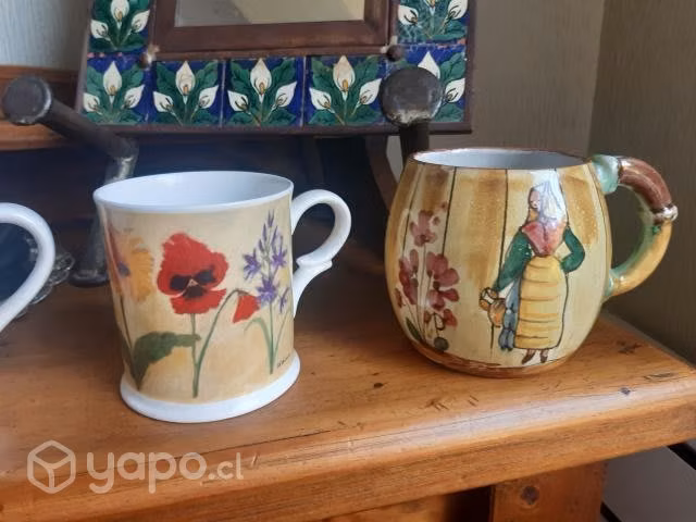 Tazas de té del mundo colección