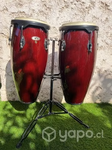 Congas CP Burdeo de 10 & 11