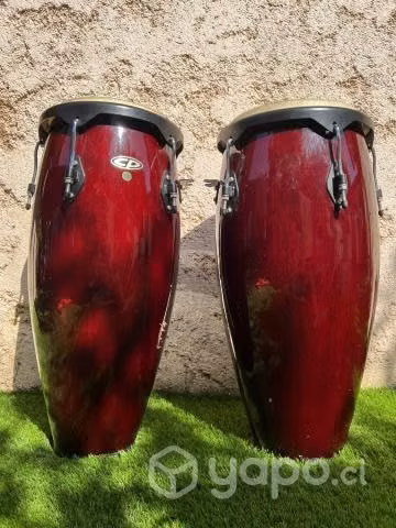 Congas CP Burdeo de 10 & 11