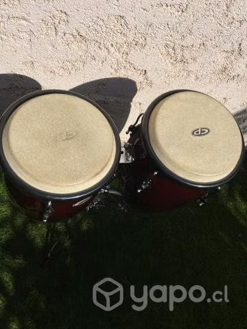 Congas CP Burdeo de 10 & 11