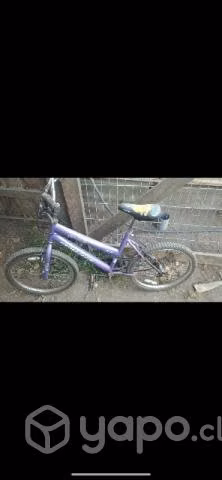 Bicicletas