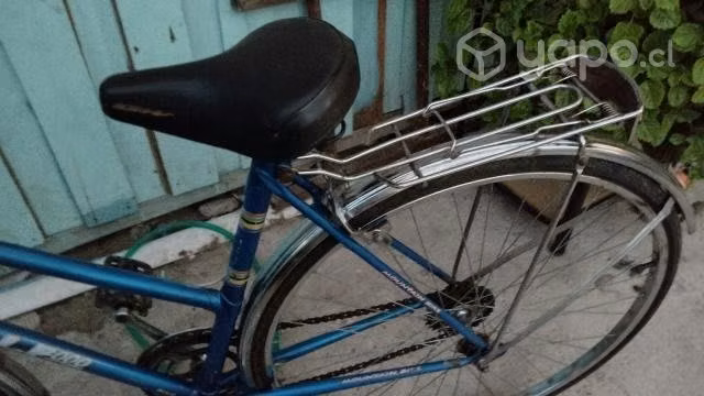 Bicicleta de colección