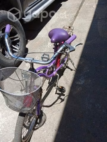 Bicicleta morada niña con canasto aro20