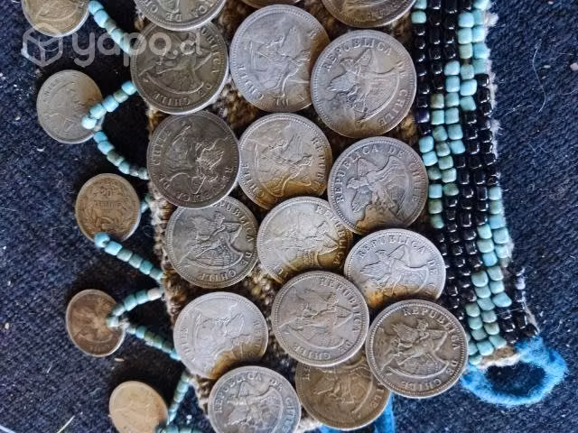 Pieza mapuche