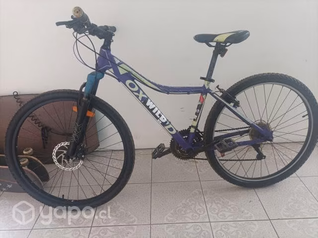 Bicicleta