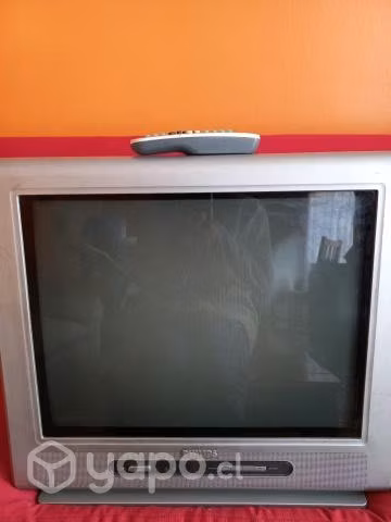 Televisor