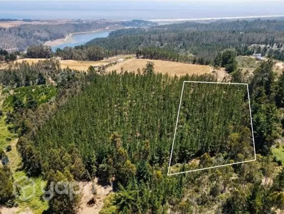 Terreno Cahuil Vista al Mar