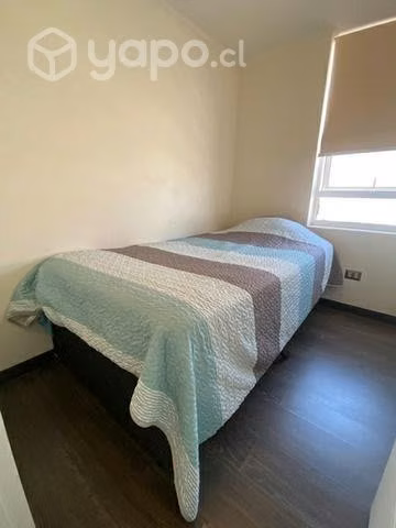 Cama nido 1.5 plaza