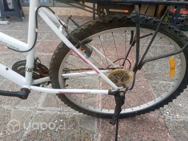 Bicicleta Avalanche montana aro 26