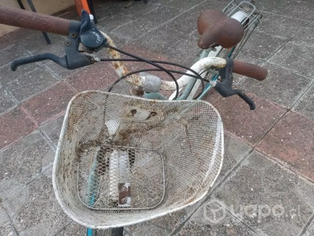 Bibicleta Bianchi street aro 26