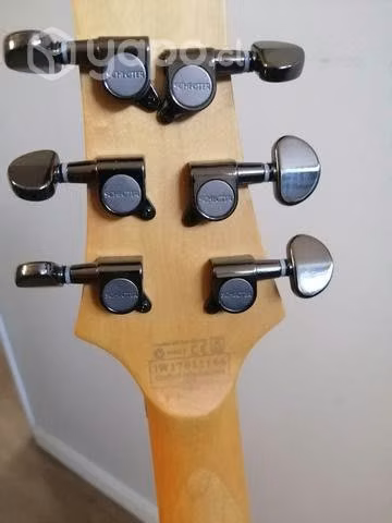 Guitarra eléctrica schecter - Imagen 4