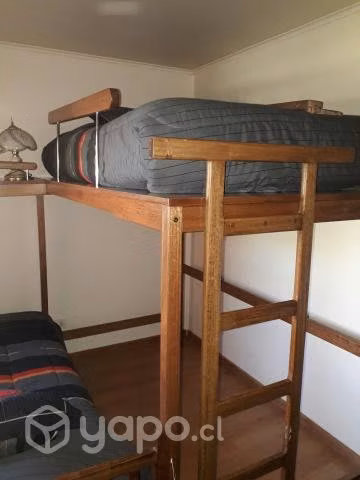 Litera Estudiante