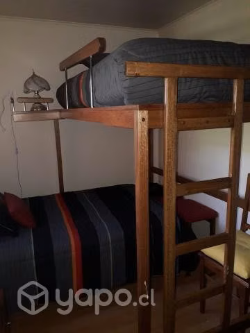 Litera Estudiante