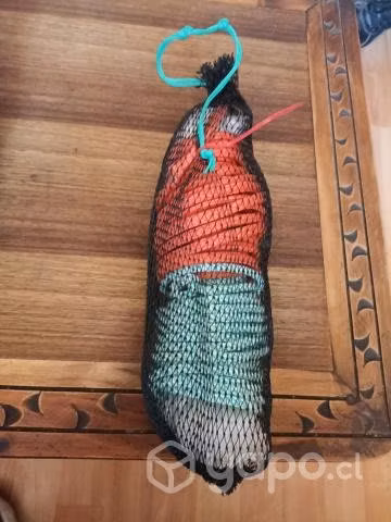 Pesca