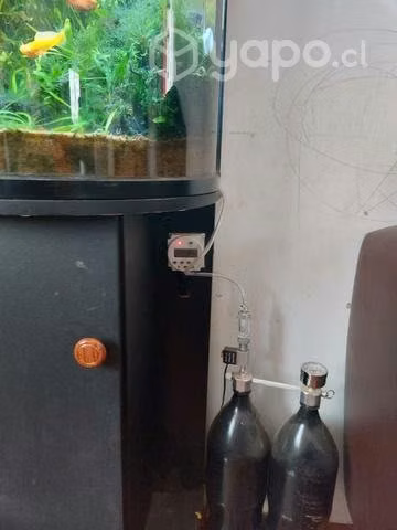 Acuario panoramico