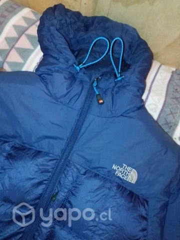 Chaqueta they North face