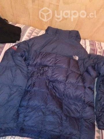 Chaqueta they North face