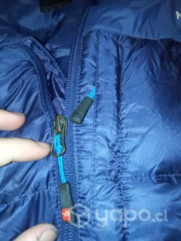 Chaqueta they North face