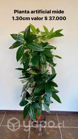 Plantas artificiales - Imagen 5