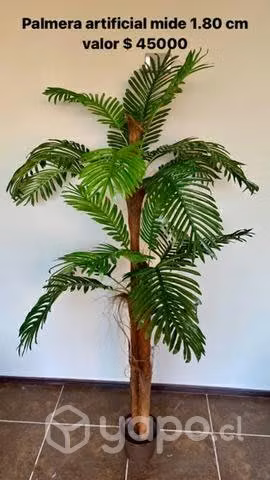 Plantas artificiales - Imagen 2