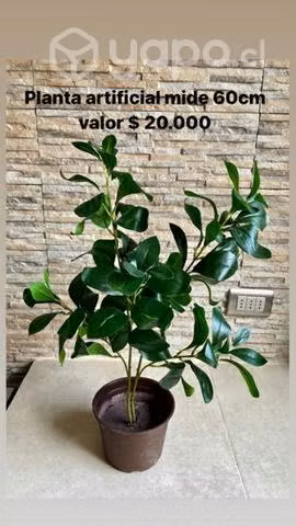 Plantas artificiales - Imagen 4