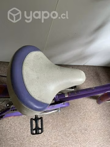 Bicicleta de paseo