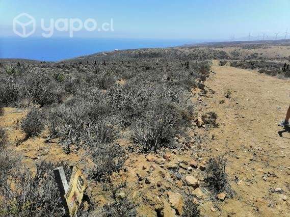 Parcela - Imagen 5