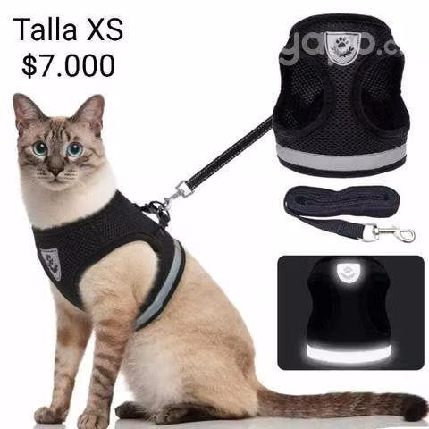 Arnes nuevo para gato xs