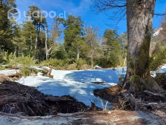 Parcela Sector cordillera Melipeuco - Imagen 2