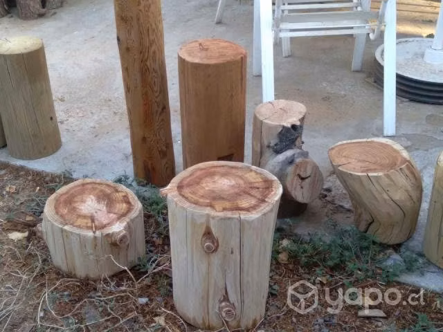 Conjunto troncos secoya 20/40 cm alto x 30/33 diam - Imagen 4