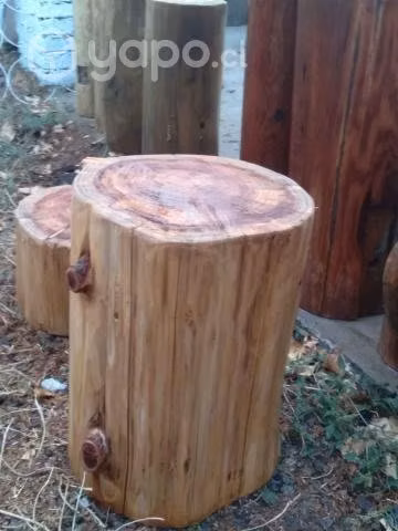 Conjunto troncos secoya 20/40 cm alto x 30/33 diam - Imagen 3