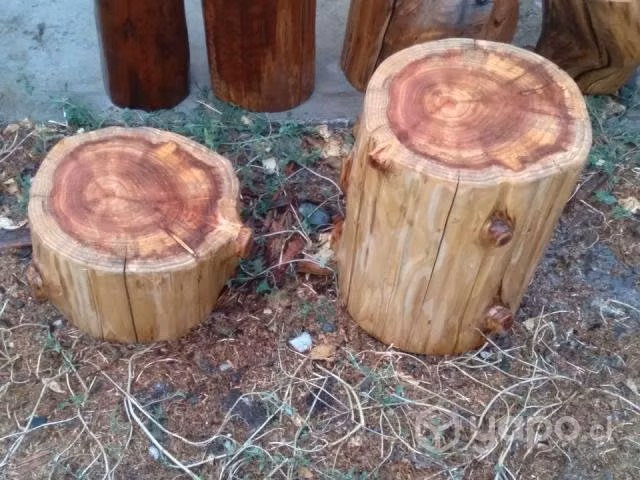 Conjunto troncos secoya 20/40 cm alto x 30/33 diam - Imagen 2
