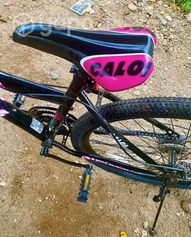Bicicleta mujer
