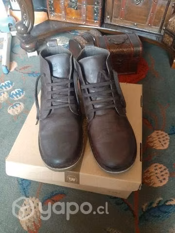 Zapato fucus