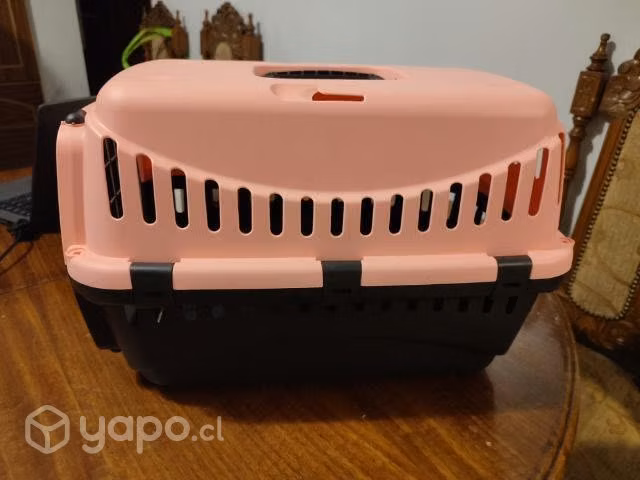 Transporte de cachorros - Imagen 2