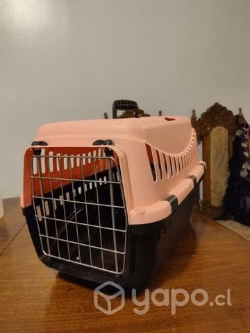 Transporte de cachorros - Imagen 4