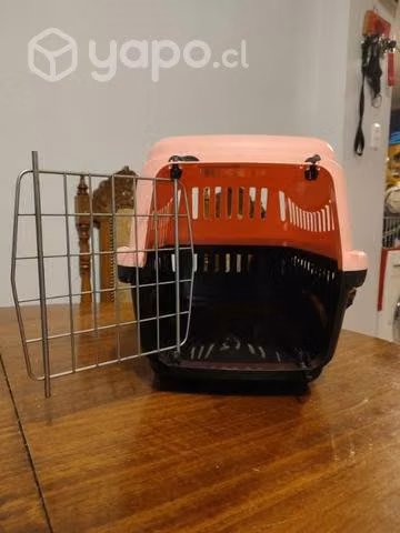 Transporte de cachorros - Imagen 3