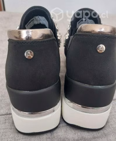 Zapato Apology