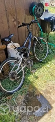Bicicleta Fratta hombre - Imagen 2